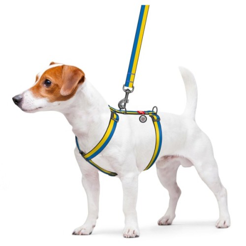 Шлея для собак WAUDOG Nylon з QR паспортом анатомічна H-подібна "Colors of freedom" M (5150-4020)