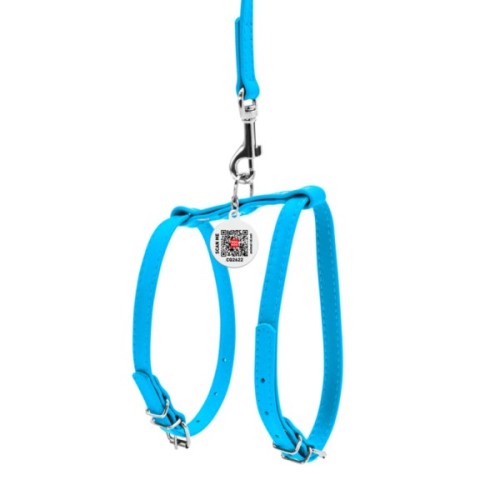 Шлея для собак WAUDOG Glamour з повідцем шкіряна Ш 9 мм А 20-30 см В 30-40 см блакитна (33992)