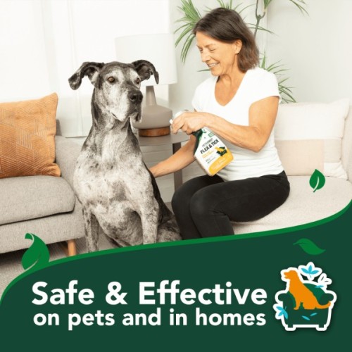 Спрей для тварин Vet's Best для собак та дому від комах з ароматом бавовни і спецій 945 мл (0010279001387)