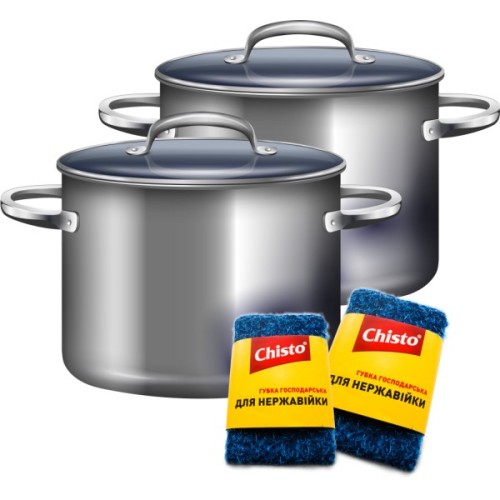 Губки кухонні Chisto для нержавійки 1 шт. (4823098413790)