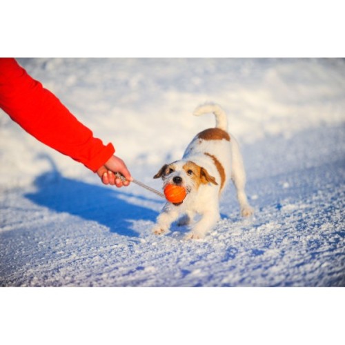 Іграшка для собак Liker Cord М'ячик з мотузкою 5 см (6285)