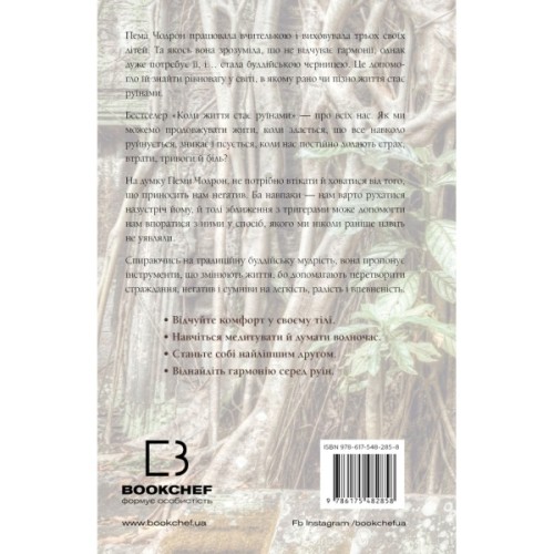 Книга Коли життя стає руїнами. Дієві поради для важких часів - Пема Чодрон BookChef (9786175482858)