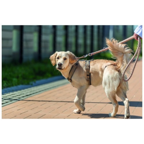 Повідець для собак Trixie Cavo регульований S–M 2 м діаметр 12 мм рожево-пісочний (4053032677838)