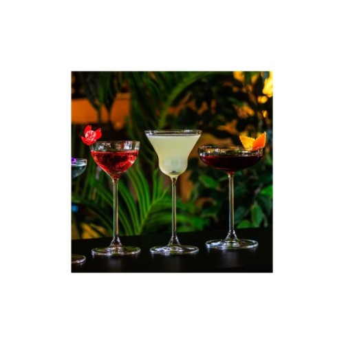 Келих Onis (Libbey) Bespoke Martini 190 мл (440119)