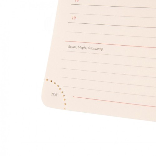 Тижневик Leo planner датований 2025 Identico А5 синій 368 сторінок (252532)