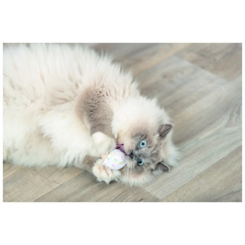 Іграшка для котів Trixie Морозиво і тістечко плюш з котячою м ятою 7 см (4011905455525)
