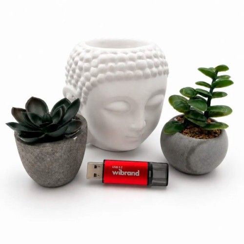 USB флеш накопичувач Wibrand 128GB Ladybug Red USB 3.2 (WI3.2/LB128P10S)