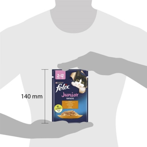 Вологий корм для кішок Purina Felix Fantastic Junior з куркою в желе 85 г (7613039832189)