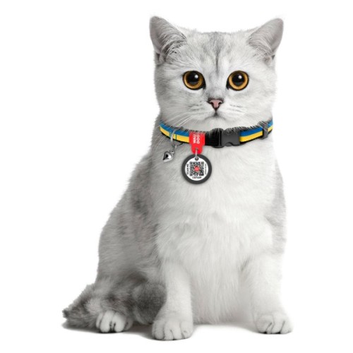 Нашийник для тварин WAUDOG Colors of freedom з QR паспортом XS 20-30 см (5210-4020)