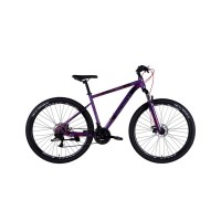 Велосипед Discovery 29" TREK DD рама-19" ST 2025 фіолетовий (OPS-SP-29-078)