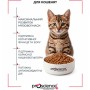 Сухий корм для кішок ProScience Kitten Lamb 1.5 кг (8694686407547)