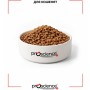 Сухий корм для кішок ProScience Kitten Lamb 1.5 кг (8694686407547)
