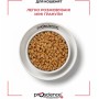 Сухий корм для кішок ProScience Kitten Lamb 1.5 кг (8694686407547)