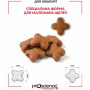 Сухий корм для кішок ProScience Kitten Lamb 1.5 кг (8694686407547)