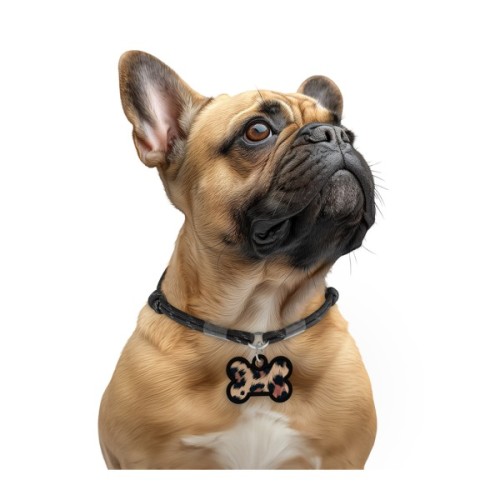 Адресник для тварин WAUDOG Smart ID з QR паспортом "Леопард", кістка 40х28 мм (231-4066)