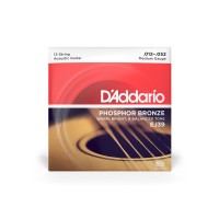 Струни для гітари D'Addario Phosphor Bronze Medium 12-String (12-52) (EJ39)