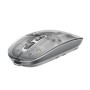 Мишка Havit MS62WB Pro Wireless Transparent Gray (6939119045128)