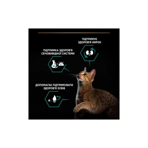Сухий корм для кішок Purina Pro Plan Sterilised Adult 1+ Renal Plus Для дорослих стерилізованих З індичкою 400 г (7613033564673)