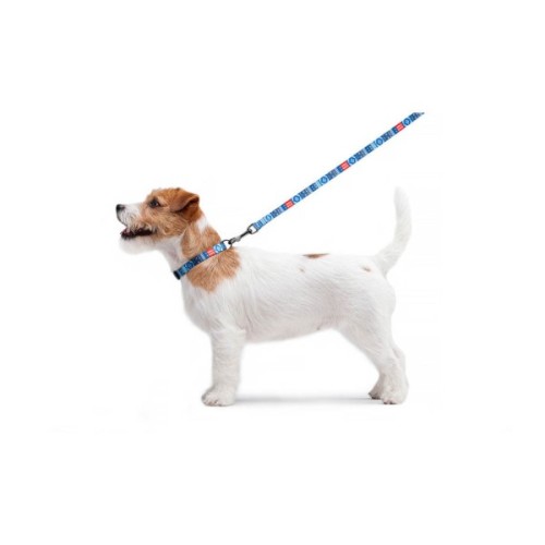 Повідець для собак WAUDOG Nylon "Етно синій" S (4597)