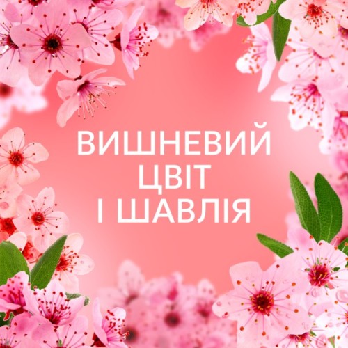 Кондиціонер для білизни Lenor Вишневий цвіт та шавлія 987 мл (8700216724197)