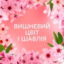 Кондиціонер для білизни Lenor Вишневий цвіт та шавлія 987 мл (8700216724197)