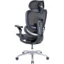 Офісне крісло Sihoo C300 LITE V2, Black (C300-LITE-V2-B101)