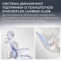 Офісне крісло Sihoo C300 LITE V2, Black (C300-LITE-V2-B101)