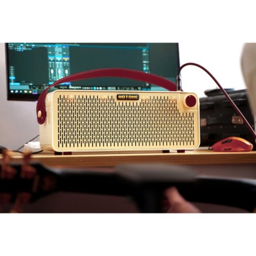 Комбопідсилювач Hotone Audio Pulze Luna (236670)