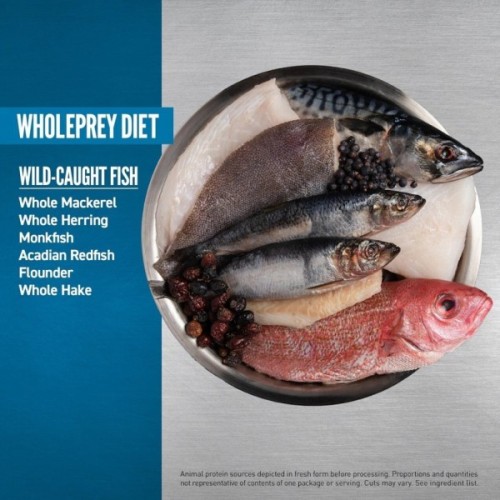 Сухий корм для собак Orijen 6 Fish 6 кг (0064992183608)