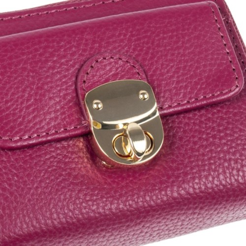 Гаманець Ashwood Y50 Rasberry