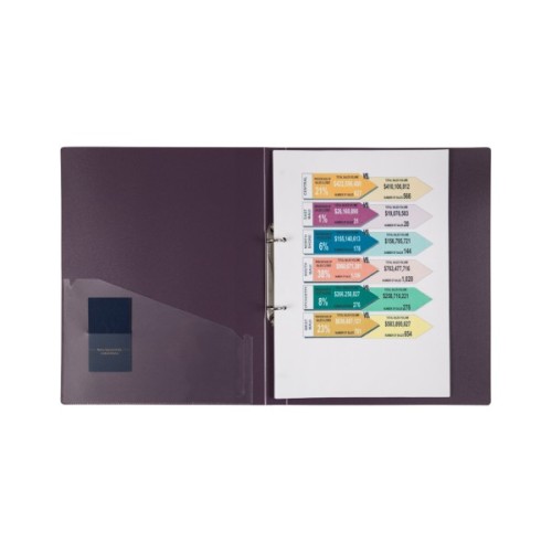 Папка на кільцях Axent А4 з 2-ма кільцями 700 мкм 25 мм Сливова (1207-11-A)