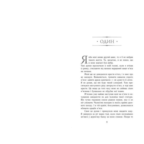 Книга Сходження на трон. Фальшивий принц. Книга 1 - Дженніфер Е. Нільсен Ранок (9786170984548)