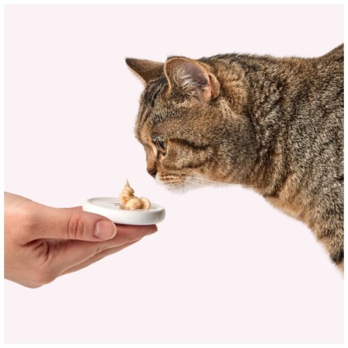 Ласощі для котів Delickcious ягня з додаванням коричневого рису та цукіні 4х15 г (4820269145368)