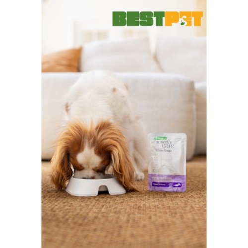 Вологий корм для собак Nature's Protection Superior Care White Dogs Adult Tuna & Salmon 70 г (UNINPSC63999)