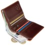 Гаманець Visconti ALP92 Tignes Brown (ALP92 BRN)
