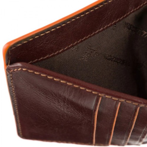 Гаманець Visconti ALP92 Tignes Brown (ALP92 BRN)