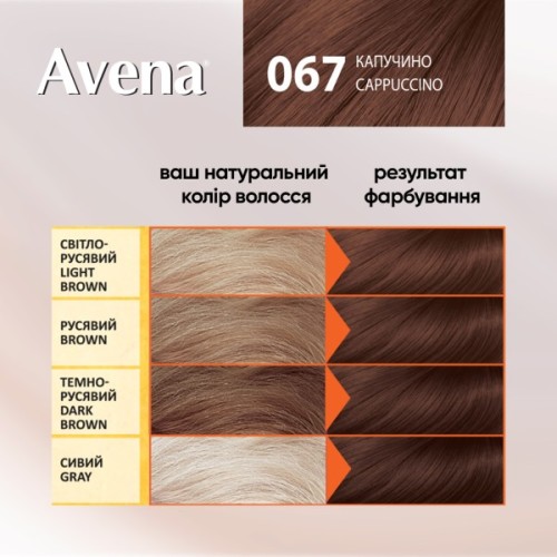 Фарба для волосся Acme Color Avena Shine Color Стійка 067 - Капучино (4823115502537)
