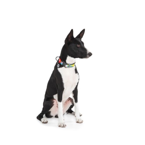 Нашийник для тварин WAUDOG Nylon з QR паспортом "Рік і Морті 1" металева пряжка-фастекс XXL (4535-0280)