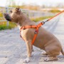 Шлея для собак WAUDOG Waterproof з QR-паспортом S Ш 15 мм Д 40-55 см помаранчева (27644)