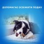 Ласощі для собак Purina DentaLife Small Для підтримки здоров'я порожнини рота 115 г (8445291614550)