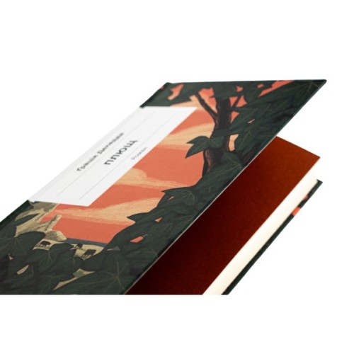 Книга Плющ - Грація Деледда Ще одну сторінку (9786175222508)