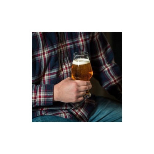 Набір келихів Luigi Bormioli Birrateque для пива 540 мл 6шт/уп (11825/01)