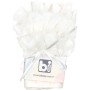 Колготки дитячі Bibaby з рюшем (68154-74G-beige)