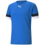 Футболка Puma teamRISE Jersey 704932-02 синій L (4063699216714)