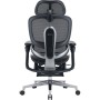 Офісне крісло Sihoo C500 V2, Black, з підставкою для ног (C500-V2-B101-JT)