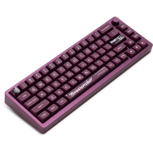 Клавіатура Thunderobot VIC68 Gateron Magnetic Jade Switch USB UA Purple (6932066317201)