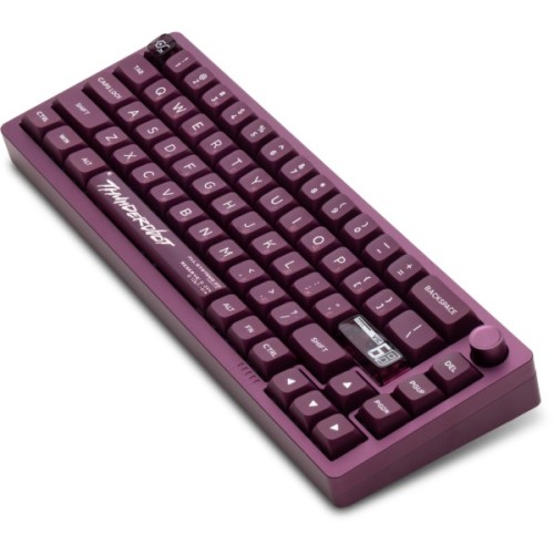 Клавіатура Thunderobot VIC68 Gateron Magnetic Jade Switch USB UA Purple (6932066317201)