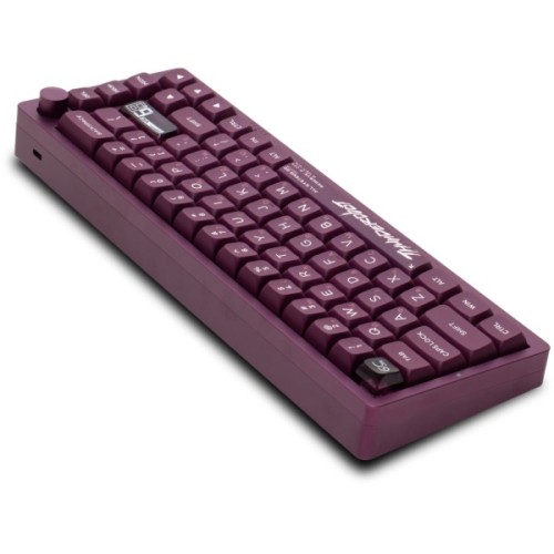 Клавіатура Thunderobot VIC68 Gateron Magnetic Jade Switch USB UA Purple (6932066317201)