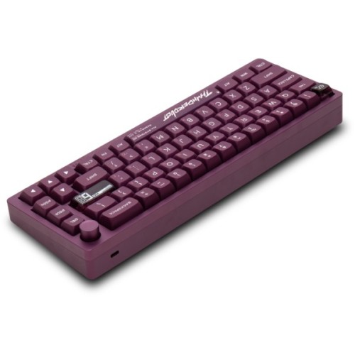 Клавіатура Thunderobot VIC68 Gateron Magnetic Jade Switch USB UA Purple (6932066317201)