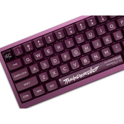 Клавіатура Thunderobot VIC68 Gateron Magnetic Jade Switch USB UA Purple (6932066317201)